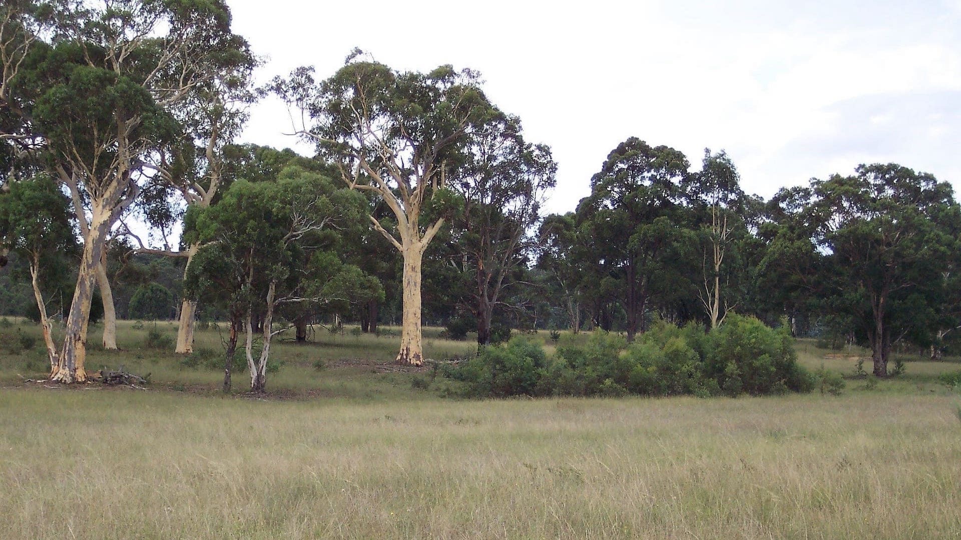 Maylen Park Comes Back To Life