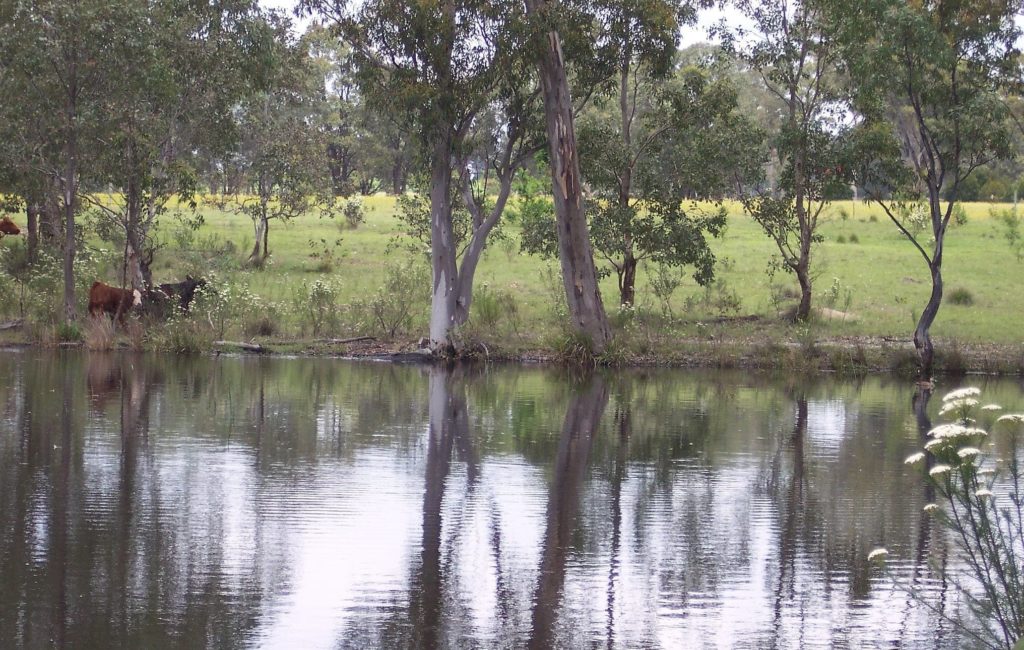 Maylen Park - Rustic rural comfortable and self-catering