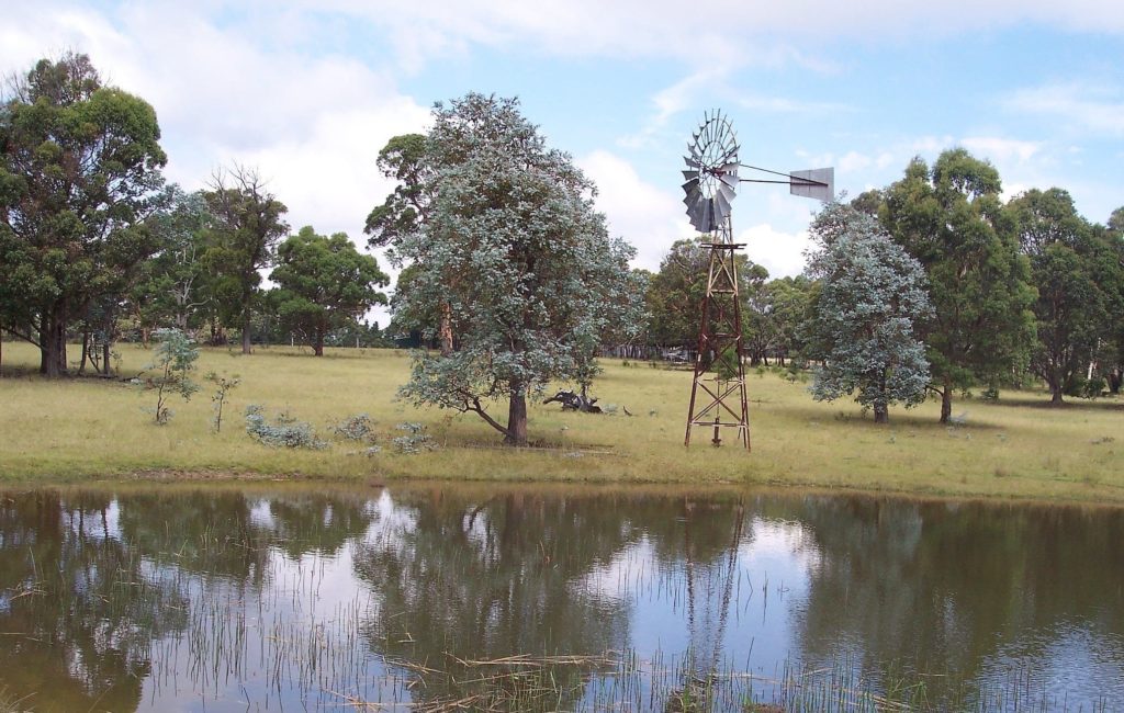 Maylen Park - Windmill